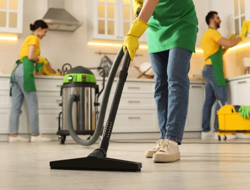 House Cleaning Service Businesses